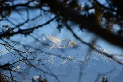 DSC_3035 (Large).JPG